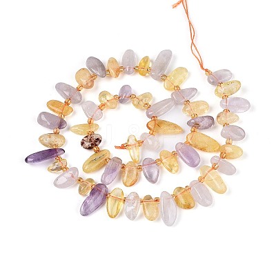 Natural Ametrine Beads Strands G-Z091-A41-1