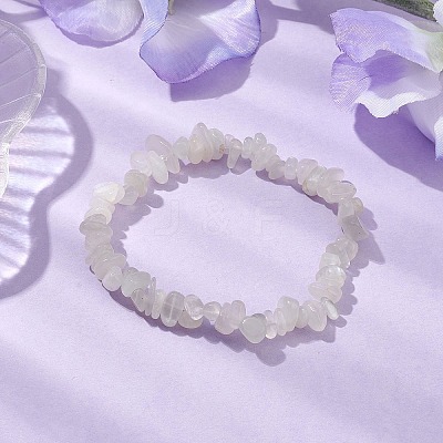 Natural White Moonstone Chip Beaded Stretch Bracelets for Women Men BJEW-JB10665-03-1