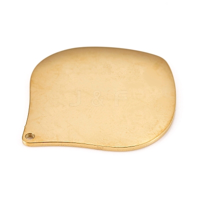 304 Stainless Steel Pendants STAS-L238-090A-G-1