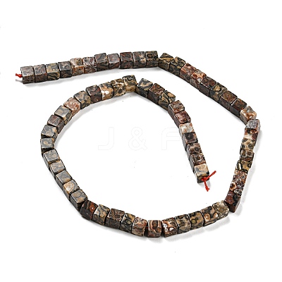 Natural Leopard Skin Jasper Beads Strands G-Q1008-B09-1