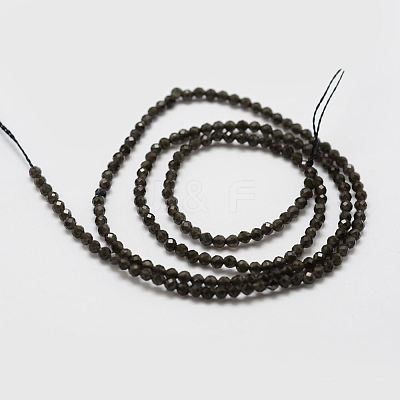 Natural Obsidian Bead Strands G-P270-2mm-28-1
