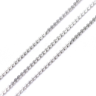 Tarnish Resistant 304 Stainless Steel Serpentine Chains CHS-F011-12A-P-1