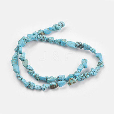 Natural Magnesite Beads Strands TURQ-G101-03-1