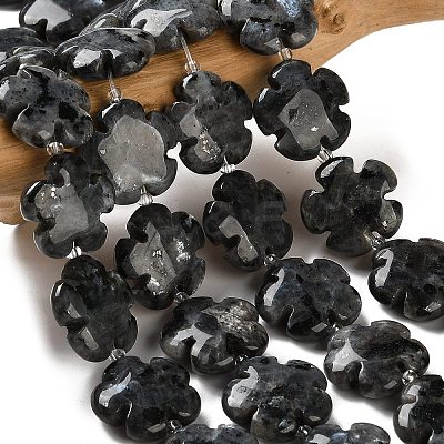 Natural Larvikite Beads Strands G-L241A-21-1