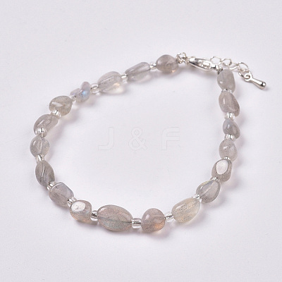 Natural Labradorite Beaded Bracelets BJEW-F405-A06-1