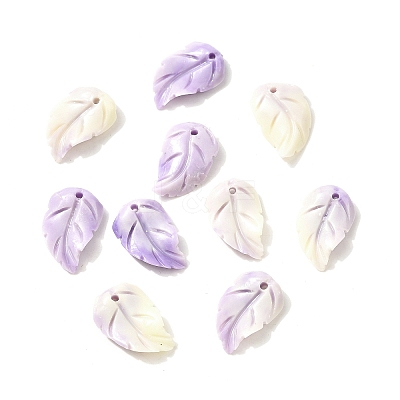 Synthetic Shell Dyed Carved Feather Charms BSHE-H111-02-1