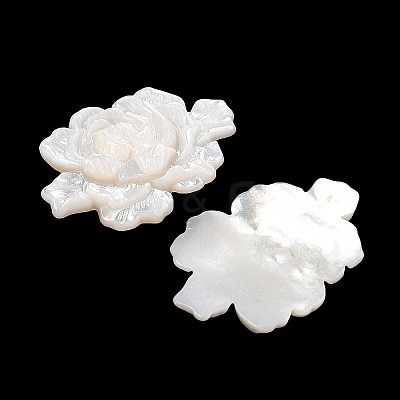 Natural White Shell Carved Cabochons SSHEL-I026-15-1