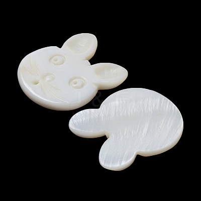 Natural Freshwater Shell Beads BSHE-P033-12-1