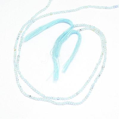 Natural Blue Topaz Beads Strands G-G914-2mm-12-1
