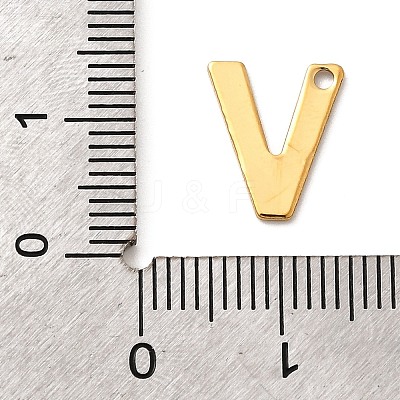 304 Stainless Steel Charms STAS-B093-12G-V-1