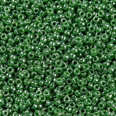 MIYUKI Round Rocailles Beads SEED-G009-RR0431-1