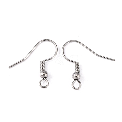 Tarnish Resistant 316 Surgical Stainless Steel Earring Hooks STAS-O032-01-1