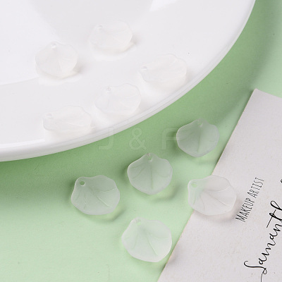 Transparent Frosted Acrylic Pendants MACR-S371-02A-701-1