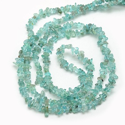 Natural Apatite Chip Beads Strands G-L154-23-1