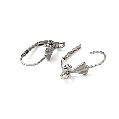 316 Surgical Stainless Steel Leverback Earring Findings STAS-WH0022-70-1