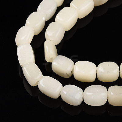 Natural White African Opal Beads Strands G-N346-04A-10-1