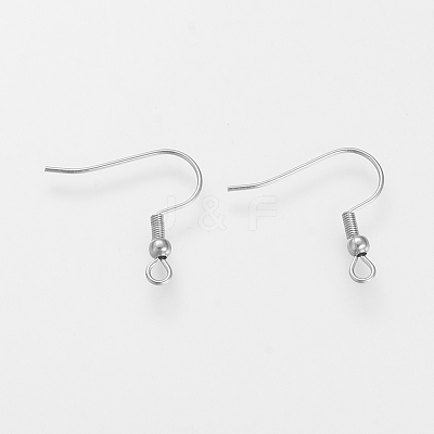 Tarnish Resistant 304 Stainless Steel Earring Hooks STAS-S066-11-1