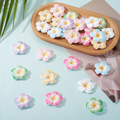 28Pcs 7 Colors Plumeria Flower Opaque Resin Cabochons CRES-TA0001-75-1