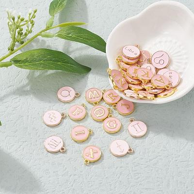 2 Sets 2 Styles Golden Plated Alloy Enamel Charms ENAM-YW0001-28A-1