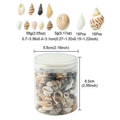 12 Styles Natural Mixed Shell Beads SSHEL-YW0001-05-1