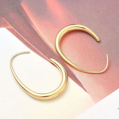 304 Stainless Steel Teardrop Dangle Earrings EJEW-Z158-01G-1