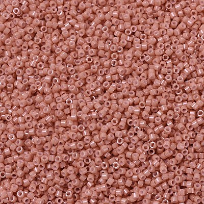MIYUKI Delica Beads X-SEED-J020-DB1363-1