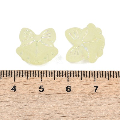 Frosted Transparent Acrylic Beads X1-OACR-P029-18B-03-1
