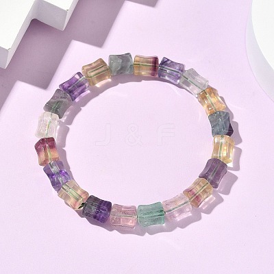 Natural Fluorite Beaded Bracelets G-H332-12-1