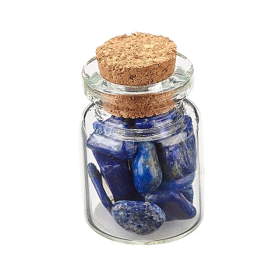 Transparent Glass Wishing Bottle Decoration DJEW-A001-01C-14-1