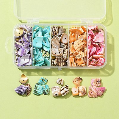 125G 5 Colors Natural Shell Bead Strands BSHE-FS0001-06A-1