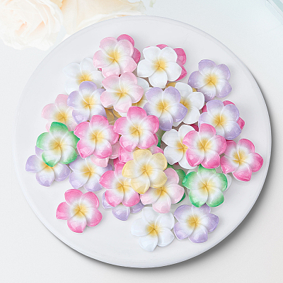 Plumeria Flower Opaque Resin Cabochons CRES-BM0001-01B-1