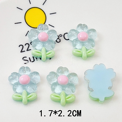Translucent Resin Decoden Cabochons PW-WG80860-01-1