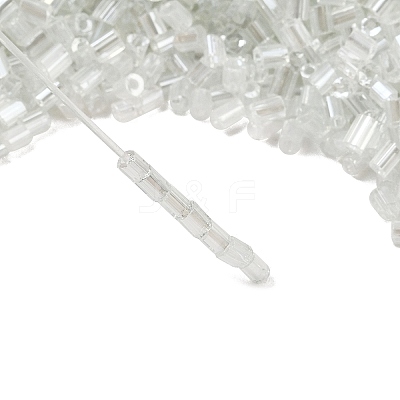 Two Cut Glass Seed Beads CSDB101-1