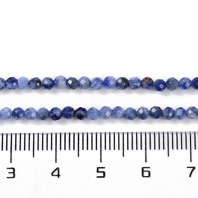 Natural Sodalite Beads Strands X-G-G139-A07-02-1