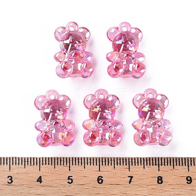 Transparent Acrylic Pendants MACR-S373-113-C01-1
