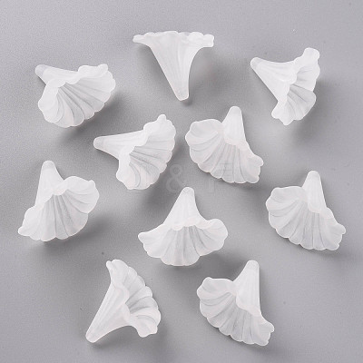 Transparent Acrylic Beads BSF796-1