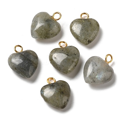 Natural Labradorite Pendants G-E603-01G-08-1