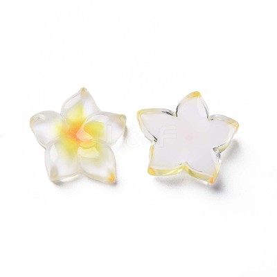 Transparent Epoxy Resin Cabochons X-CRES-S365-23A-1