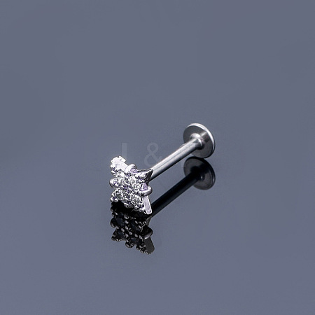 316L Surgical Stainless Steel Micro Pave Clear Cubic Zirconia Cartilage Earrings WGEC19D-06-1