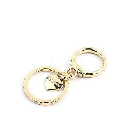 Alloy Keychain Clasps PW-WGD7230-01-1