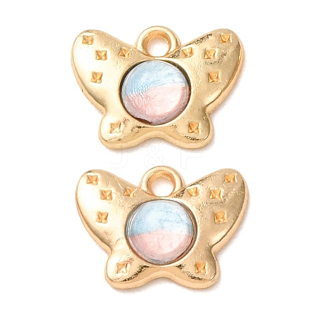 Alloy Resin Pendnats RE-CBAB5D6-01G-01-1