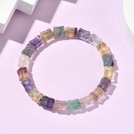 Natural Fluorite Beaded Bracelets G-H332-12-1