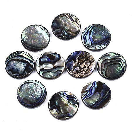 Natural Abalone Shell/Paua Shell Cabochons X-SSHEL-N034-72C-01-1