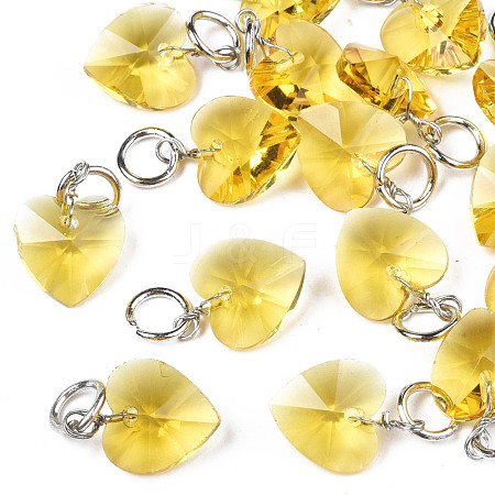 Faceted Transparent Glass Charms GLAA-T024-04K-1