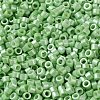 Baking Paint Glass Seed Beads SEED-S042-15A-08-3