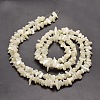 Natural White Mother of Pearl Shell Chip Bead Strands X-G-M205-63-3