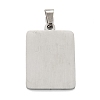 Non-Tarnish 304 Stainless Steel Pendants STAS-K216-48E-P-2