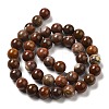 Natural Gemstone Beads Strands G-A215-01C-2