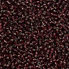 MIYUKI Delica Beads SEED-X0054-DB1685-3