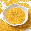 Baking Paint Glass Seed Beads SEED-P006-03A-04-2